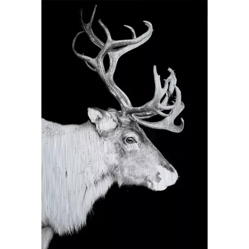 Payaa Reindeer Alubrush 120x180x2cm (107935)