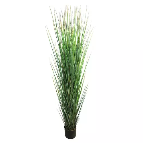 Payaa Grass Dori 165x40x30cm (110523)