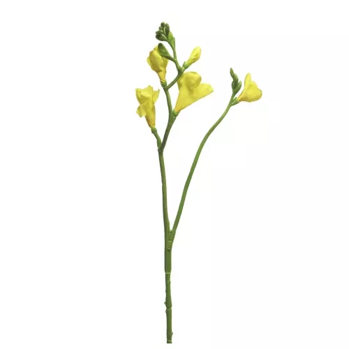 Payaa Freesia floramunda yellow 65cm (200988)