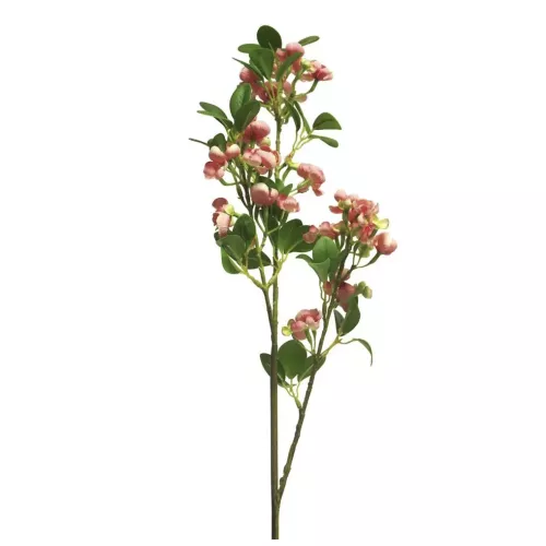Payaa Wild seringa Auke red 65cm (200993)